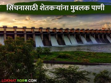 Rabi Crop : रब्बीत मिळणार शेतकऱ्यांना मिळणार मुबलक पाणी; हंगाम चांगला होण्याची शेतकऱ्यांना आशा - Marathi News | Rabi Crop : Farmers will get abundant water in Rabi; Farmers hope for a good season | Latest News at Lokmat.com