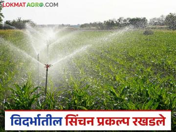 Vidarbha Irrgation project: विदर्भातील सिंचन प्रकल्प रखडले; मुख्य सचिव हायकोर्टाच्या रडारवर जाणून घ्या सविस्तर - Marathi News | Vidarbha Irrigation project: Irrigation projects in Vidarbha stalled, Chief Secretary on High Court's radar, know the details | Latest News at Lokmat.com