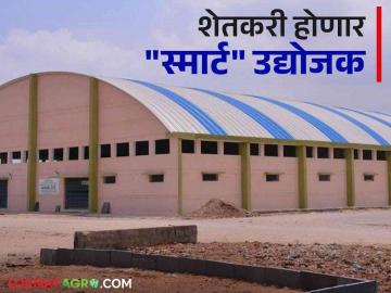 Smart Project : कृषी प्रक्रिया उद्योगाने शेतकरी झालेत 'स्मार्ट' उद्योजक; 'या' फळावर होणार प्रक्रिया उद्योग - Marathi News | Smart Project: Farmers have become 'smart' entrepreneurs with agri-processing industry; The processing industry will be based on 'this' fruit | Latest News at Lokmat.com