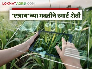 AI Smart Farming: स्मार्ट सोल्युशनसह एआय मदतीने 'स्मार्ट शेती'कडे वाटचाल वाचा सविस्तर - Marathi News | AI Smart Farming: latest news Moving towards 'smart farming' with the help of AI with smart solutions Read in detail | Latest News at Lokmat.com