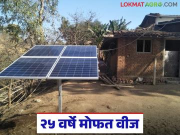 राज्यातील 'या' वीजग्राहकांना मिळणार आता २५ वर्षे मोफत वीज; काय आहे योजना? जाणून घ्या सविस्तर - Marathi News | These electricity consumers in the state will now get free electricity for 25 years; What is the scheme? Know in detail | Latest News at Lokmat.com