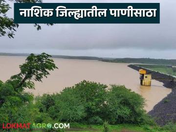 Gangapur Dam : नाशिकचे गंगापूर धरण 97 टक्के भरले, जिल्ह्यातील इतर धरणे किती भरली?  - Marathi News | Latest News Nashik's Gangapur Dam is 97 percent full, see other dams todays water level | Latest News at Lokmat.com
