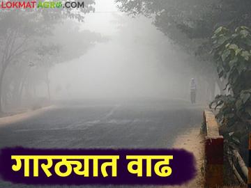 Maharashtra Weather Update : उत्तर भारतात जोरदार बर्फवृष्टी; राज्यात अजून किती राहणार थंडीची लाट - Marathi News | Maharashtra Weather Update : Heavy snowfall in North India; How long will the cold wave continue in the state? | Latest News at Lokmat.com