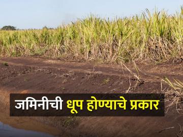 soil erosion जमिनीची धुप होण्याचे विविध प्रकार त्यामुळे होणारे दुष्परिणाम - Marathi News | Different types of soil erosion and its side effects | Latest News at Lokmat.com