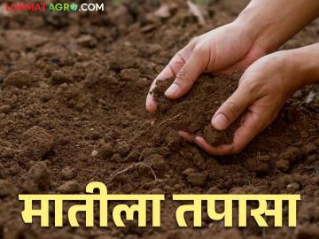 Soil Health पेरणीपूर्वी मातीच्या तब्येतीची तापसणी केली का? - Marathi News | Soil Health: Did you test the soil health before sowing? | Latest News at Lokmat.com