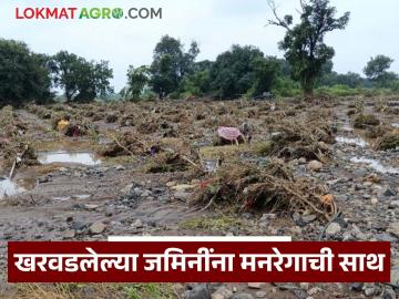 अतिपावसाने खरवडलेल्या शेतजमिनींना मनरेगातून मदत; काय आहेत निकष? कसा घ्याल फायदा? - Marathi News | Help from MNREGA for agricultural land damaged by heavy rains; What are the criteria? How will you benefit? | Latest News at Lokmat.com अतिपावसाने खरवडलेल्या शेतजमिनींना मनरेगातून मदत; काय आहेत निकष? कसा घ्याल फायदा? - Marathi News | Help from MNREGA for agricultural land damaged by heavy rains; What are the criteria? How will you benefit? | Latest News at Lokmat.com