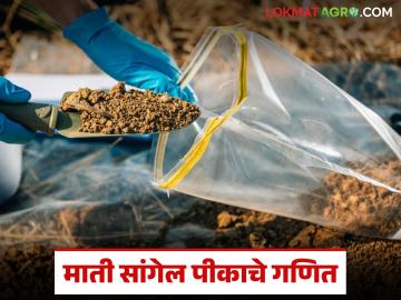 Soil Health Card : माती सांगेल शेतीचे गणित; तपासणीमुळे उत्पादन वाढ, खर्च कमी - Marathi News | latest news Soil Health Card: Soil will tell you the mathematics of agriculture; Inspection increases production, reduces costs | Latest News at Lokmat.com