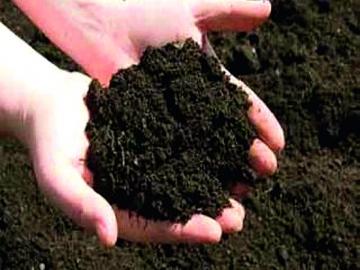 बदलत्या हवामानानुसार राज्यातील ५ हजार गावांतल्या मातीचे होतेय संशोधन - Marathi News | Soil research is being done in 5000 villages of the state according to climate change | Latest News at Lokmat.com