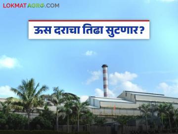 सोलापूर जिल्ह्यातील 'या' १७ साखर कारखान्यांनी दिला तीन हजारांपेक्षा अधिक दर - Marathi News | These 17 sugar factories in Solapur district paid more than three thousand rupees | Latest News at Lokmat.com सोलापूर जिल्ह्यातील 'या' १७ साखर कारखान्यांनी दिला तीन हजारांपेक्षा अधिक दर - Marathi News | These 17 sugar factories in Solapur district paid more than three thousand rupees | Latest News at Lokmat.com