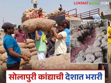 ज्या दिवशी लिलाव त्याच दिवशी पट्टीचे पैसे; महाराष्ट्रात नावारूपाला येतंय हे कांद्याचे मार्केट - Marathi News | The money of onion auction is paid on the same day; This onion market is becoming famous in Maharashtra | Latest News at Lokmat.com