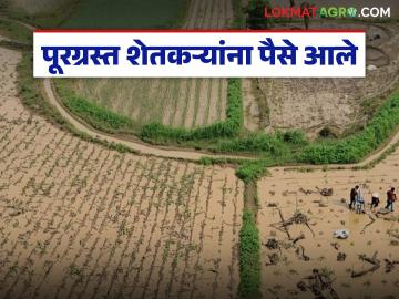 सोलापूर जिल्ह्यातील 'या' तालुक्यात पूरग्रस्त ७३ हजार शेतकऱ्यांच्या बँक खात्यात जमा झाले १०१ कोटी - Marathi News | 101 crores deposited in the bank accounts of 73 thousand flood-affected farmers in 'this' taluka of Solapur district | Latest News at Lokmat.com सोलापूर जिल्ह्यातील 'या' तालुक्यात पूरग्रस्त ७३ हजार शेतकऱ्यांच्या बँक खात्यात जमा झाले १०१ कोटी - Marathi News | 101 crores deposited in the bank accounts of 73 thousand flood-affected farmers in 'this' taluka of Solapur district | Latest News at Lokmat.com