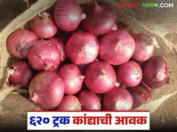 सोलापूर मार्केट यार्ड झाले कांदामय; वाचा तीन हजारांवर गेलेला भाव आता किती रुपयांवर? - Marathi News | Solapur market yard has become full of onions; Read how much the price has gone up to three thousand rupees now? | Latest News at Lokmat.com सोलापूर मार्केट यार्ड झाले कांदामय; वाचा तीन हजारांवर गेलेला भाव आता किती रुपयांवर? - Marathi News | Solapur market yard has become full of onions; Read how much the price has gone up to three thousand rupees now? | Latest News at Lokmat.com