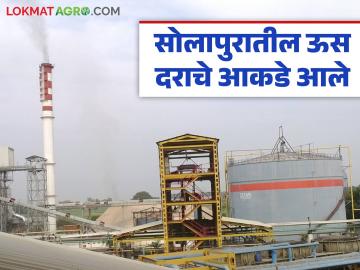 सोलापूर जिल्ह्यातील 'या' १९ कारखान्यांचे ऊस दर जाहीर; कोणत्या कारखान्याने दिला सर्वाधिक दर? - Marathi News | Sugarcane prices of these 19 factories in Solapur district announced; Which factory offered the highest price? | Latest News at Lokmat.com सोलापूर जिल्ह्यातील 'या' १९ कारखान्यांचे ऊस दर जाहीर; कोणत्या कारखान्याने दिला सर्वाधिक दर? - Marathi News | Sugarcane prices of these 19 factories in Solapur district announced; Which factory offered the highest price? | Latest News at Lokmat.com
