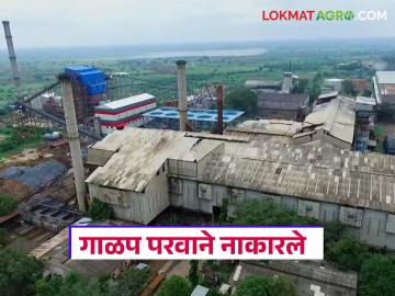 मागील हंगामातील ऊस बिलाची रक्कम न दिल्याने 'या' तीन कारखान्यांचे गाळप परवाने नाकारले - Marathi News | Crushing licenses of 'these' three factories were rejected due to non-payment of sugarcane bill amount for the previous season | Latest News at Lokmat.com