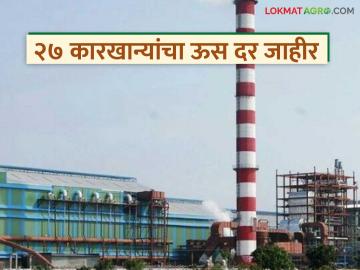 सोलापूर जिल्ह्यातील ऊस दर जाहीर करणाऱ्या कारखान्यांची संख्या वाढली; २७ कारखान्यांचा ऊस दर जाहीर - Marathi News | The number of factories announcing sugarcane prices in Solapur district has increased; 27 factories have announced sugarcane prices. | Latest News at Lokmat.com सोलापूर जिल्ह्यातील ऊस दर जाहीर करणाऱ्या कारखान्यांची संख्या वाढली; २७ कारखान्यांचा ऊस दर जाहीर - Marathi News | The number of factories announcing sugarcane prices in Solapur district has increased; 27 factories have announced sugarcane prices. | Latest News at Lokmat.com
