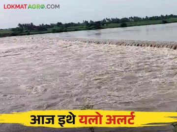 सोलापूरमध्ये आज यलो अलर्ट, विजांचा कडकडाटासह पाऊस शक्य - Marathi News | Yellow Alert with lightning and heavy rainfall likely in Solapur today | Latest News at Lokmat.com