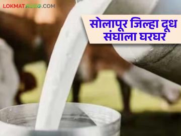 Solapur Dudh Sangh : राज्यातील नामांकित सोलापूर जिल्हा दूध संघ बंद पडण्याच्या मार्गावर; काय आहे प्रकरण वाचा सविस्तर - Marathi News | Solapur Dudh Sangh : Prominent Solapur District Dudh Sangh in the state on the verge of closure; Read the case in detail | Latest News at Lokmat.com