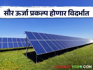 Solar power : सौर ऊर्जा प्रकल्प वाशिम जिल्ह्यात सर्वाधिक - Marathi News | Solar power : Solar power projects are highest in Washim district | Latest News at Lokmat.com