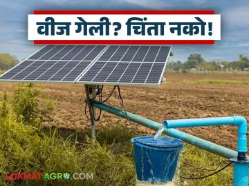 Solar Scheme : वीज गेली? चिंता नको! सौर कृषिपंपांनी शेतकऱ्यांचा प्रश्न मिटला - Marathi News | latest news Solar Scheme: Electricity out? Don't worry! Solar agricultural pumps solve farmers' problems | Latest News at Lokmat.com