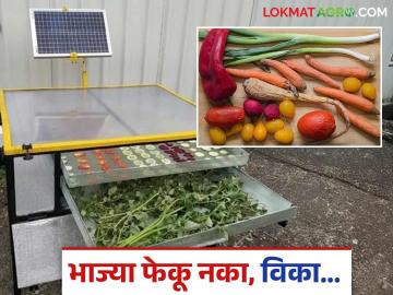 Solar Dehydrator : आता भाज्या फेकून देऊ नका, 'हे' मशीन घ्या अन् चांगला नफा कमवा, वाचा सविस्तर  - Marathi News | Latest News vegetable Processing Make money by drying vegetables with solar dehydrator machine | Latest News at Lokmat.com