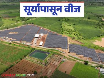 Solar Power Project : सौरऊर्जा प्रकल्प : राज्यातील ३ मेगावॅटचा पहिला प्रकल्प छत्रपती संभाजीनगर जिल्ह्यात वाचा सविस्तर - Marathi News | solar power project: Solar power project: The first 3 MW project in the state is in Chhatrapati Sambhajinagar district. Read in detail | Latest News at Lokmat.com