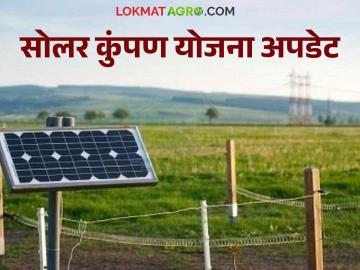 Solar Kumpan Yojana : सोलर कुंपण योजनेत 100 टक्के अनुदान मिळणार, जाणून घ्या सविस्तर  - Marathi News | Latest news solar kumpan yojana Solar Fence Scheme will get 100 percent subsidy, know the details | Latest News at Lokmat.com