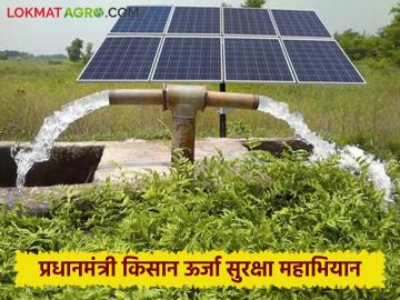 Solar Krushi pumpa : आता शेतकऱ्यांना दिवसा सिंचन करणे शक्य; कुसुम योजनेंतर्गत सौर कृषी पंप - Marathi News | Solar Krushi pumpa : Solar Agriculture Pumps under Kusum Yojana | Latest News at Lokmat.com