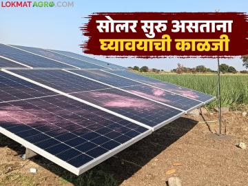 Solar Panel : सोलार पॅनलपासून शॉक लागून खरंच मृत्यू होतो का, सिस्टीम चालू असताना 'या' गोष्टी लक्षात ठेवा - Marathi News | Latest News Solar panels can cause death, what are the main causes and solutions for electrocution? | Latest News at Lokmat.com