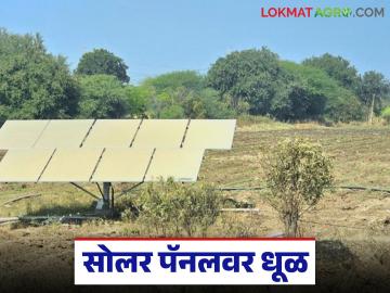 Solar Panel : सोलर पॅनलवर धूळ बसली, घाईघाईत स्वच्छ करू नका, पहिल्यांदा हे काम करा! - Marathi News | Latest News Solar Panel care how to clean solar panels in farm see details | Latest News at Lokmat.com