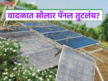 Solar Panel Damage : शेतकऱ्यांनो! सोलार पॅनल तुटलंय? अर्ज करा, मदत मिळवा वाचा सविस्तर - Marathi News | latest news Solar Panel Damage: Farmers! Solar panel broken? Apply, get help | Latest News at Lokmat.com Solar Panel Damage : शेतकऱ्यांनो! सोलार पॅनल तुटलंय? अर्ज करा, मदत मिळवा वाचा सविस्तर - Marathi News | latest news Solar Panel Damage: Farmers! Solar panel broken? Apply, get help | Latest News at Lokmat.com
