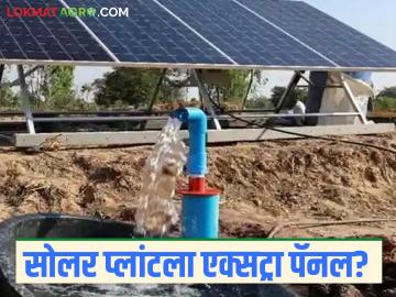 Solar Pump Yojana : सोलर प्लांटला एक्सट्रा पॅनल लावू शकतो का? जाणून घ्या सविस्तर  - Marathi News | Latest News Solar Pump Yojana possible to install extra panels on solar plant see details | Latest News at Lokmat.com