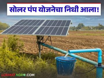 मागेल त्याला सोलर पंप योजनेचा 388 कोटींचा निधी आला, कुणाला मिळणार लाभ, वाचा सविस्तर - Marathi News | Latest News Whoever asked for it got Rs 388 crores of solar pump scheme funds, read in detail | Latest News at Lokmat.com मागेल त्याला सोलर पंप योजनेचा 388 कोटींचा निधी आला, कुणाला मिळणार लाभ, वाचा सविस्तर - Marathi News | Latest News Whoever asked for it got Rs 388 crores of solar pump scheme funds, read in detail | Latest News at Lokmat.com