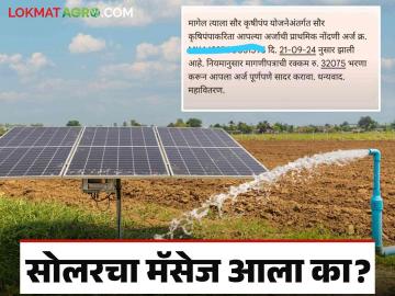 Magel Tyala Solar Pump : सोलर पंप योजनेच्या अर्जाची सद्यस्थिती, पेमेंट झालं की नाही हे कसे समजेल? - Marathi News | Latest News Magel Tyala Solar Pump How to know current status of Solar Pump Yojana application | Latest News at Lokmat.com Magel Tyala Solar Pump : सोलर पंप योजनेच्या अर्जाची सद्यस्थिती, पेमेंट झालं की नाही हे कसे समजेल? - Marathi News | Latest News Magel Tyala Solar Pump How to know current status of Solar Pump Yojana application | Latest News at Lokmat.com