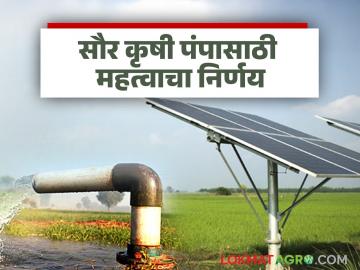 सौर कृषी पंप पुरवठादार कंपनीने किती दिवसांच्या आत पंप बसवणे बंधनकारक? - Marathi News | Within how many days is the solar agricultural pump supplier company required to install the pump? | Latest News at Lokmat.com