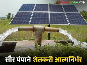 Solar Pump : मागेल त्याला सौर कृषिपंप; 'या' जिल्ह्यातील शेतकरी आत्मनिर्भर वाचा सविस्तर - Marathi News | latest news Solar Pump: Solar agricultural pump for those who ask; Farmers in this district are self-reliant Read in detail | Latest News at Lokmat.com