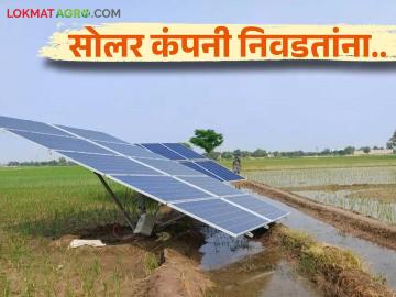 Solar Pump Vendor : सोलर पंप कंपनी निवडतांना 'या' गोष्टी विसरू नका? जाणून घ्या सविस्तर  - Marathi News | Latest News Solar Pump Vendor Don't forget these things while choosing solar pump vendor company Know in detail | Latest News at Lokmat.com