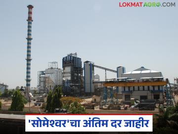 'सोमेश्वर' कारखान्याची उच्चांकी उसदराची परंपरा कायम: किती दिला अंतिम ऊस दर? - Marathi News | 'Someshwar' factory continues its tradition of high sugarcane prices: What was the final sugarcane price? | Latest News at Lokmat.com
