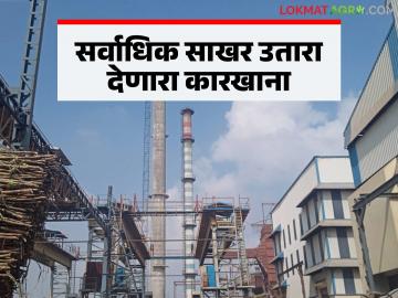 यंदाच्या गाळप हंगामात ११ टक्केचा साखर उतारा ठेवत 'ह्या' साखर कारखान्याने मारली बाजी - Marathi News | This sugar factory has made a fortune by maintaining a sugar extraction rate of 11 percent in this crushing season | Latest News at Lokmat.com
