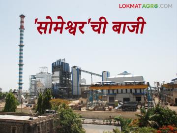 एफआरपीपेक्षा जादा भाव देण्यात राज्यात अग्रेसर असणाऱ्या सोमेश्वर कारखान्याचे मोठे यश; वाचा सविस्तर - Marathi News | Big success of Someshwar factory, which is leading in the state in offering prices above FRP; Read in detail | Latest News at Lokmat.com