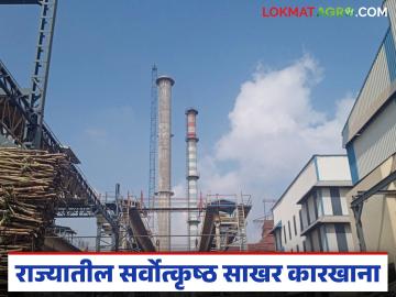 देशपातळीवर सर्वोत्कृष्ट ठरलेला 'हा' साखर कारखाना राज्यातही ठरला सर्वोत्तम - Marathi News | This sugar factory, which was declared the best in the country, also became the best in the state | Latest News at Lokmat.com
