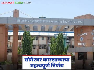 ऊस बिलाबाबत सोमेश्वर कारखान्याचा मासिक सभेत महत्वपूर्ण निर्णय, जाणून घ्या सविस्तर 