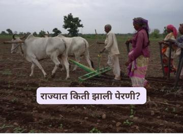 राज्यात पेरण्याचा टक्का वाढला, आतापर्यंत 33 लाख हेक्टरवर पेरणी, 'हा' जिल्हा आघाडीवर - Marathi News | Latest News sowing percentage in maharashtra increased done on 33 lakh hectares till 20th june | Latest News at Lokmat.com राज्यात पेरण्याचा टक्का वाढला, आतापर्यंत 33 लाख हेक्टरवर पेरणी, 'हा' जिल्हा आघाडीवर - Marathi News | Latest News sowing percentage in maharashtra increased done on 33 lakh hectares till 20th june | Latest News at Lokmat.com