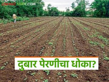 Marathwada Sowing : शेतकऱ्यांच्या कष्टांना पाणी नाही; दुबार पेरणीचा धोका? वाचा सविस्तर - Marathi News | latest news Marathwada Sowing: No water for farmers' hard work; Risk of double sowing? Read in detail | Latest News at Lokmat.com