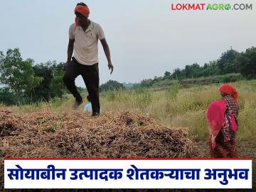 सोयाबीन मार्केटमध्ये व्यापारी भाव कसे पाडतात, शेतकऱ्याने सांगितला मार्केटचा अनुभव  सोयाबीन मार्केटमध्ये व्यापारी भाव कसे पाडतात, शेतकऱ्याने सांगितला मार्केटचा अनुभव