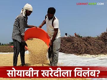 Soybean Kharedi : सोयाबीन खरेदीचं वेळापत्रक बदललं; शेतकऱ्यांना 'एसएमएस'ची प्रतीक्षा - Marathi News | latest news Soybean Kharedi: Soybean procurement schedule changed; Farmers await SMS | Latest News at Lokmat.com