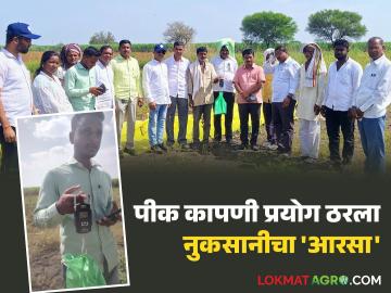 Soybean Crop Loss : अतिवृष्टीचा कहर! सोयाबीन कापणी प्रयोग ठरला नुकसानीचा 'आरसा' - Marathi News | latest news Soybean Crop Loss: Heavy rain wreaks havoc! Soybean harvesting experiment becomes 'mirror' of losses | Latest News at Lokmat.com Soybean Crop Loss : अतिवृष्टीचा कहर! सोयाबीन कापणी प्रयोग ठरला नुकसानीचा 'आरसा' - Marathi News | latest news Soybean Crop Loss: Heavy rain wreaks havoc! Soybean harvesting experiment becomes 'mirror' of losses | Latest News at Lokmat.com
