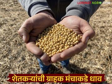 Fake Seeds : बियाण्यांचा फटका; २०० हेक्टरवर उगवण नाही, शेतकरी ग्राहक मंचात घेणार धाव वाचा सविस्तर - Marathi News | latest news Fake Seeds: Seed disaster; No germination on 200 hectares, farmers will take to consumer forum Read in detail | Latest News at Lokmat.com