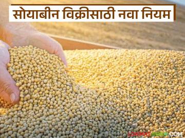 Soybean Kharedi : हमीभावाच्या खरेदीत नवे नियम; सोयाबीन बुकिंगसाठी 'अंगठा' अनिवार्य वाचा सविस्तर - Marathi News | latest news Soybean Kharedi: New rules for guaranteed price purchase; 'thumb' mandatory for soybean booking Read in detail | Latest News at Lokmat.com