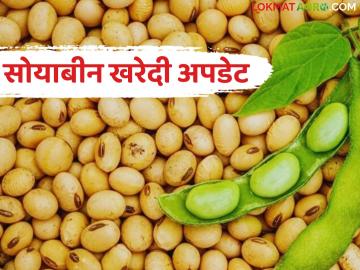Soybean Kharedi : हमीभाव केंद्रांवर मोठी खरेदी; पण सर्वांना वेळेवर चुकारे मिळाले का? - Marathi News | latest news Soybean Kharedi : Big purchase at guaranteed price centers; But did everyone get their dues on time? | Latest News at Lokmat.com Soybean Kharedi : हमीभाव केंद्रांवर मोठी खरेदी; पण सर्वांना वेळेवर चुकारे मिळाले का? - Marathi News | latest news Soybean Kharedi : Big purchase at guaranteed price centers; But did everyone get their dues on time? | Latest News at Lokmat.com