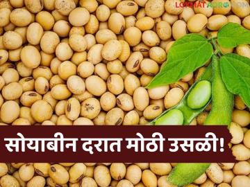 Soybean Market : सोयाबीन बाजारात मोठा ट्विस्ट; दर वाढले, पण फायदा कुणाला? - Marathi News | latest news Soybean Market: Big twist in the soybean market; Prices increased, but who benefits? | Latest News at Lokmat.com Soybean Market : सोयाबीन बाजारात मोठा ट्विस्ट; दर वाढले, पण फायदा कुणाला? - Marathi News | latest news Soybean Market: Big twist in the soybean market; Prices increased, but who benefits? | Latest News at Lokmat.com